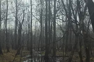 7367 Crest Hwy, Molena, GA 30258 - Photo 2