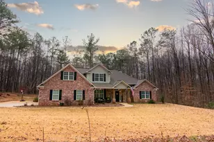 3337 Lower Blue Springs Rd, Hamilton, GA 31811 - Photo 6