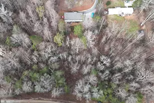 234 Pine Tree Ln, Dahlonega, GA 30533 - Photo 44