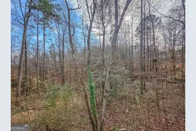 234 Pine Tree Lane, Dahlonega, GA 30533 - Photo 42