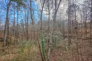 234 Pine Tree Ln, Dahlonega, GA 30533 - Photo 42