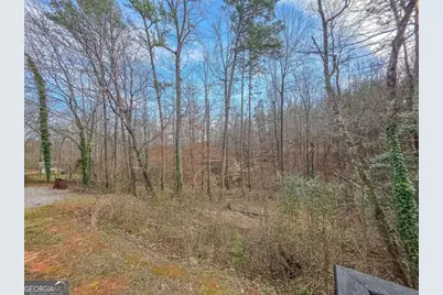 234 Pine Tree Lane, Dahlonega, GA 30533 - Photo 38