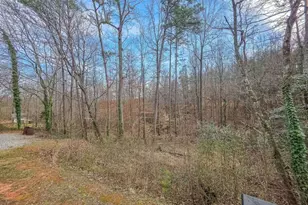 234 Pine Tree Ln, Dahlonega, GA 30533 - Photo 38