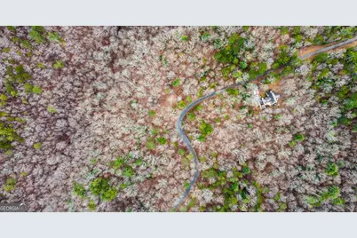 Lot 1694 Shade Tree Drive, Talking Rock, GA 30175 - Photo 16