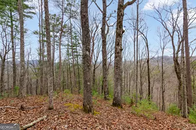 Lot 1694 Shade Tree Drive, Talking Rock, GA 30175 - Photo 6