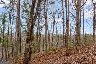Lot 1694 Shade Tree Drive, Talking Rock, GA 30175 - Photo 22