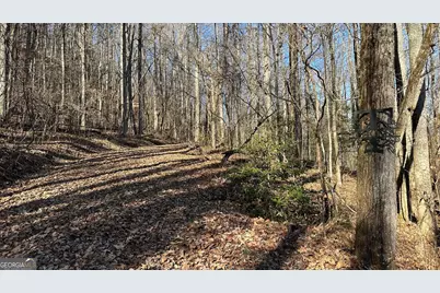 710 Northridge Drive, Tiger, GA 30576 - Photo 10
