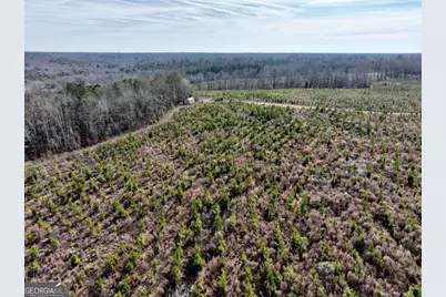 1888 US 23, Cochran, GA 31014 - Photo 36