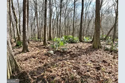 1888 US 23, Cochran, GA 31014 - Photo 52