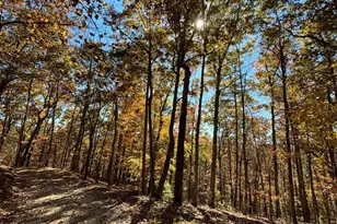 416 Autumn Hills Dr, Morganton, GA 30560 - Photo 28