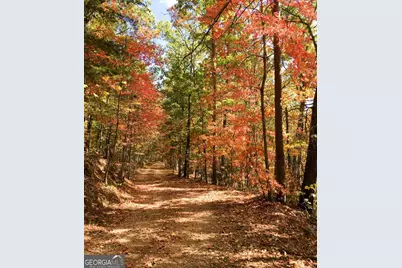 416 Undisclosed Drive, Morganton, GA 30560 - Photo 6