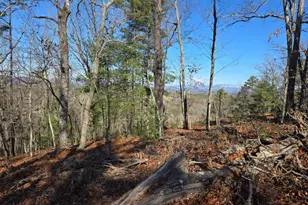 416 Undisclosed Dr, Morganton, GA 30560 - Photo 36