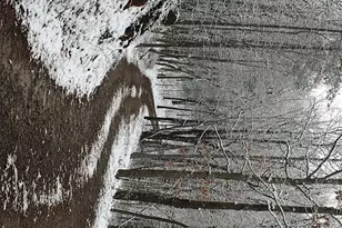 416 Undisclosed Dr, Morganton, GA 30560 - Photo 10