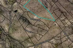 416 Undisclosed Dr, Morganton, GA 30560 - Photo 40