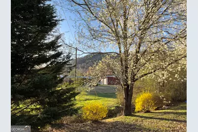 256 Black Rock Mountain Parkway, Clayton, GA 30525 - Photo 38