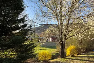 256 Black Rock Mountain Pkwy, Clayton, GA 30525 - Photo 38