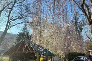 256 Black Rock Mountain Pkwy, Clayton, GA 30525 - Photo 38