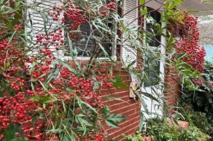 256 Black Rock Mountain Pkwy, Clayton, GA 30525 - Photo 12