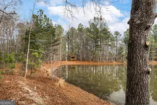 8673 Ga Hwy 242, Harrison, GA 31035 - Photo 40