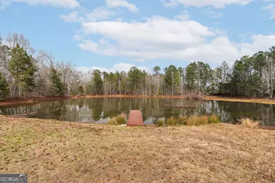 8673 Ga Highway 242, Harrison, GA 31035 - Photo 38