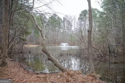 151 Cherokee Point Drive, Canton, GA 30114 - Photo 10