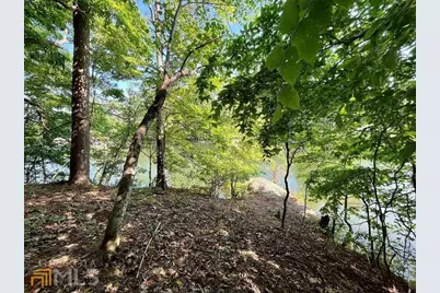 172 Nighthawk Court, Monticello, GA 31064 - Photo 64