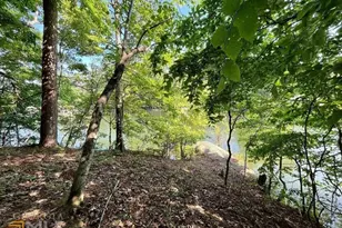 172 Nighthawk Ct, Monticello, GA 31064 - Photo 8