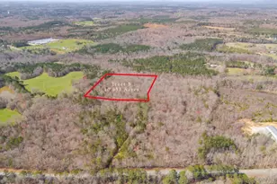 Tract5 Georgia Hwy 100, Buchanan, GA 30113 - Photo 1