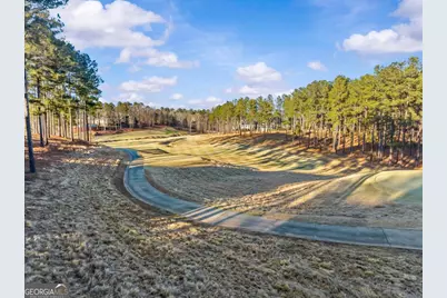 1230 Cottage Lane East, Greensboro, GA 30642 - Photo 66