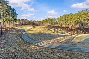 1230 Cottage Ln Ln E, Greensboro, GA 30642 - Photo 66