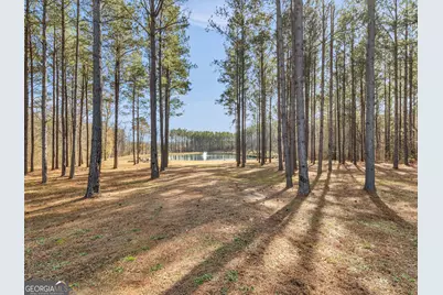 307 Weldon Lake Road, Milner, GA 30257 - Photo 2