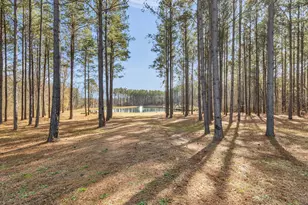 307 Weldon Lake Rd, Milner, GA 30257 - Photo 2