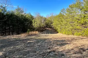 10667 Hwy 411 S, Chatsworth, GA 30705 - Photo 24