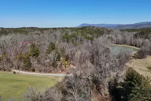 10667 Hwy 411 S, Chatsworth, GA 30705 - Photo 30