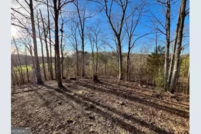 10667 Highway 411 S, Chatsworth, GA 30705 - Photo 20