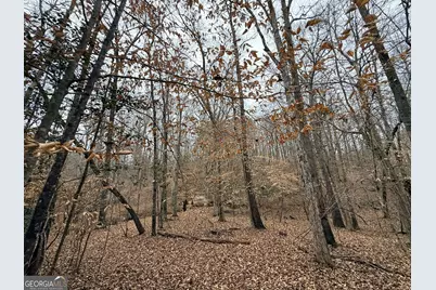 1130 Brown Brothers Road, Elberton, GA 30635 - Photo 48