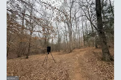 1130 Brown Brothers Road, Elberton, GA 30635 - Photo 34