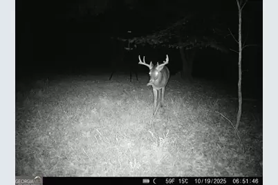 1130 Brown Brothers Road, Elberton, GA 30635 - Photo 58