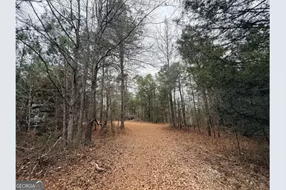 1130 Brown Brothers Road, Elberton, GA 30635 - Photo 14