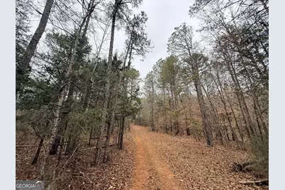 1130 Brown Brothers Road, Elberton, GA 30635 - Photo 44