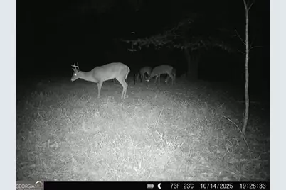 1130 Brown Brothers Road, Elberton, GA 30635 - Photo 56