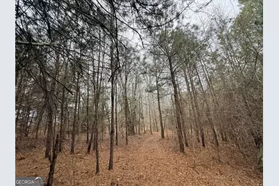 1130 Brown Brothers Road, Elberton, GA 30635 - Photo 20