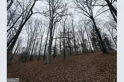 1130 Brown Brothers Road, Elberton, GA 30635 - Photo 22