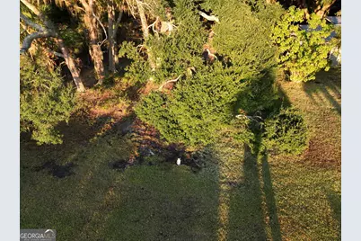 0 Deloach Road, Midway, GA 31320 - Photo 10