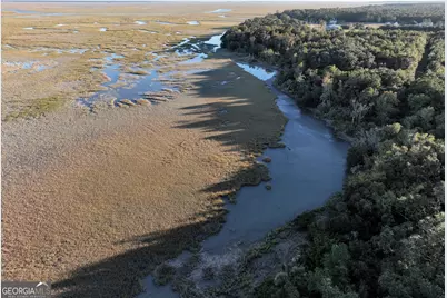 0 Deloach Road, Midway, GA 31320 - Photo 1