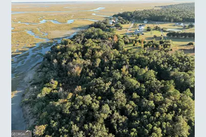 0 Deloach Road, Midway, GA 31320 - Photo 4