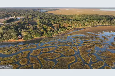 0 Deloach Road, Midway, GA 31320 - Photo 12