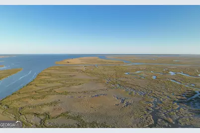 0 Deloach Road, Midway, GA 31320 - Photo 8