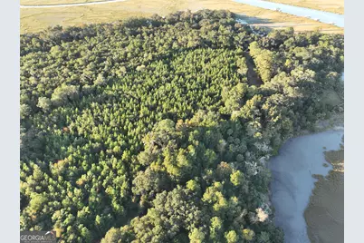 0 Deloach Road, Midway, GA 31320 - Photo 6