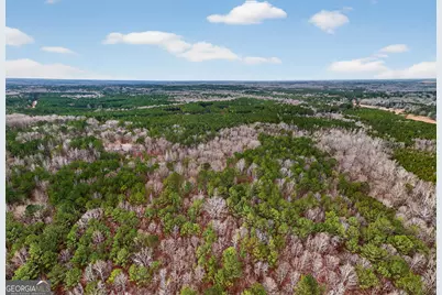 0 Forrest Road, Hogansville, GA 30230 - Photo 14